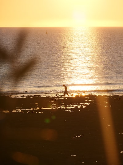 今年会官方网站:AI智能场景引擎如何重塑智能家居体验 今年会官方网站:AI智能场景引擎如何重塑智能家居体验