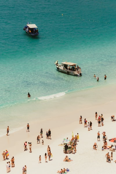 今年会官方网站居：智能家居系统方案商的领先优势解析