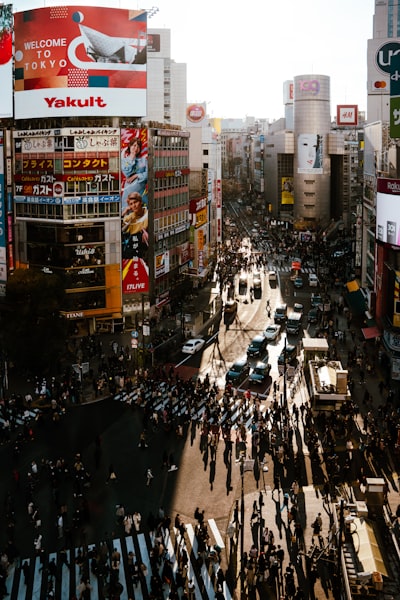 今年会官网全球布局战略:智能家居系统方案商的国际化征程 今年会官网全球布局战略:智能家居系统方案商的国际化征程