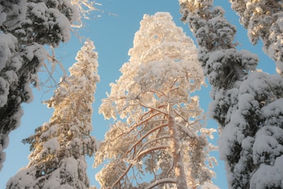 今年会官网：智能家居系统方案商的创新之路与品牌实力解析