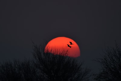 今年会官网:智能家居系统方案商的智能化整体解决方案解析 今年会官网:智能家居系统方案商的智能化整体解决方案解析